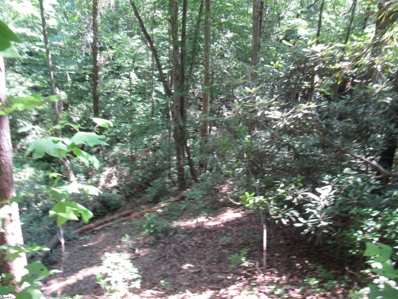 Property image 5 at 371 Gauley Falls Road, Pickens, SC 29671