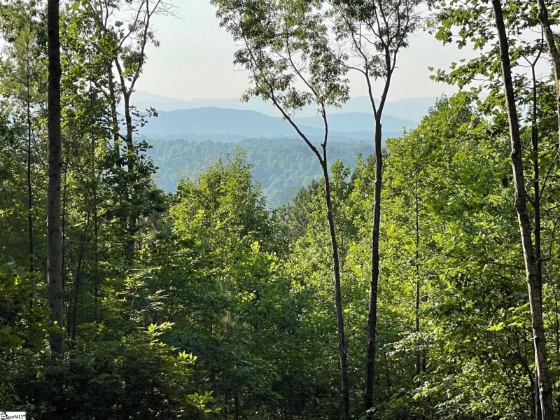 Property image 3 at HR61 Cliffs South Parkway, Salem, SC 29676