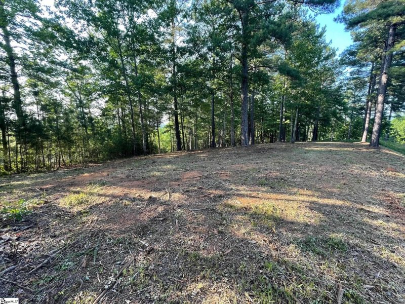 Property image 4 at HR61 Cliffs South Parkway, Salem, SC 29676