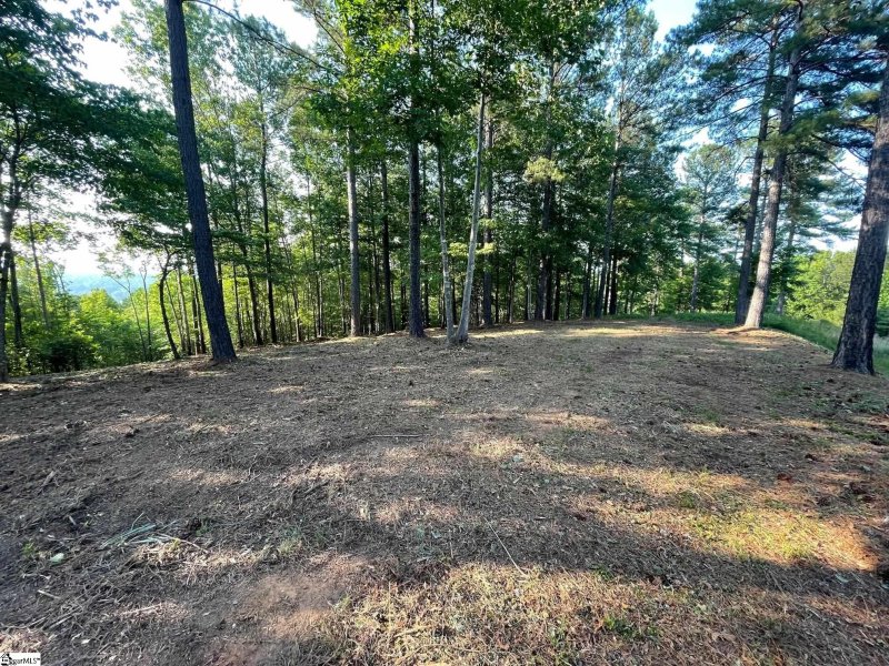 Property image 5 at HR61 Cliffs South Parkway, Salem, SC 29676