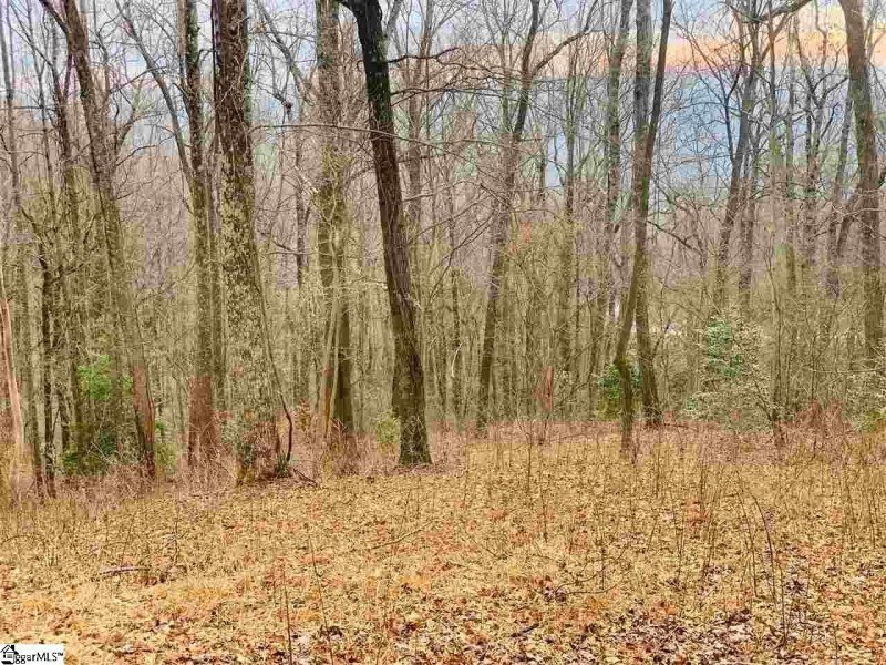 Property image 2 of 15 Day Lily Road in The Cliffs at Glassy, Landrum, SC 29356