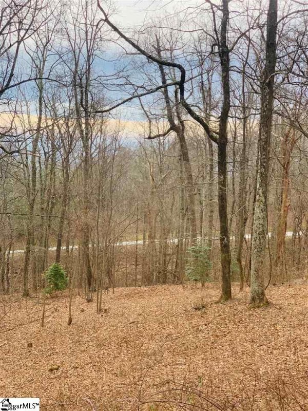 Property image 4 of 15 Day Lily Road in The Cliffs at Glassy, Landrum, SC 29356