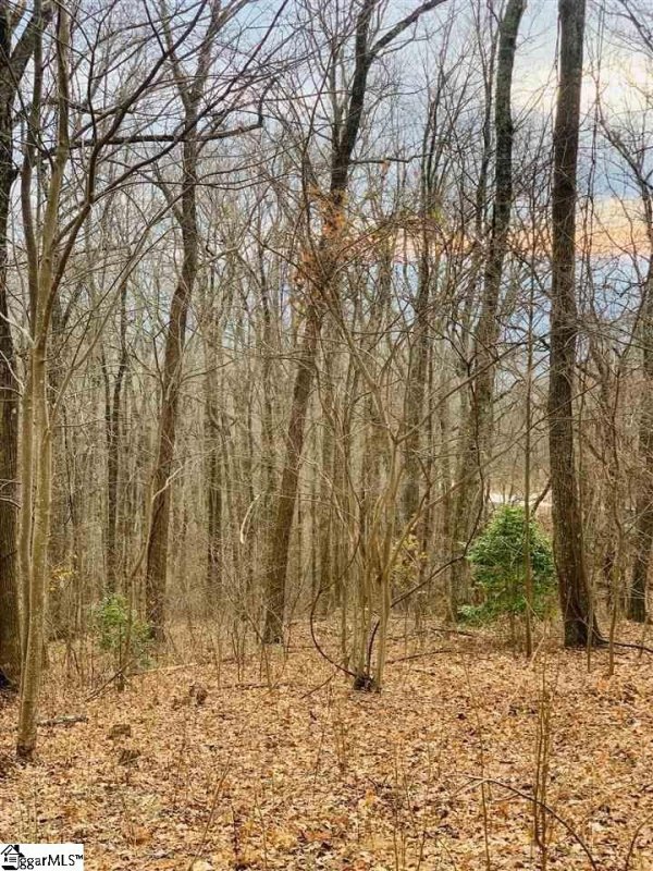 Property image 5 of 15 Day Lily Road in The Cliffs at Glassy, Landrum, SC 29356