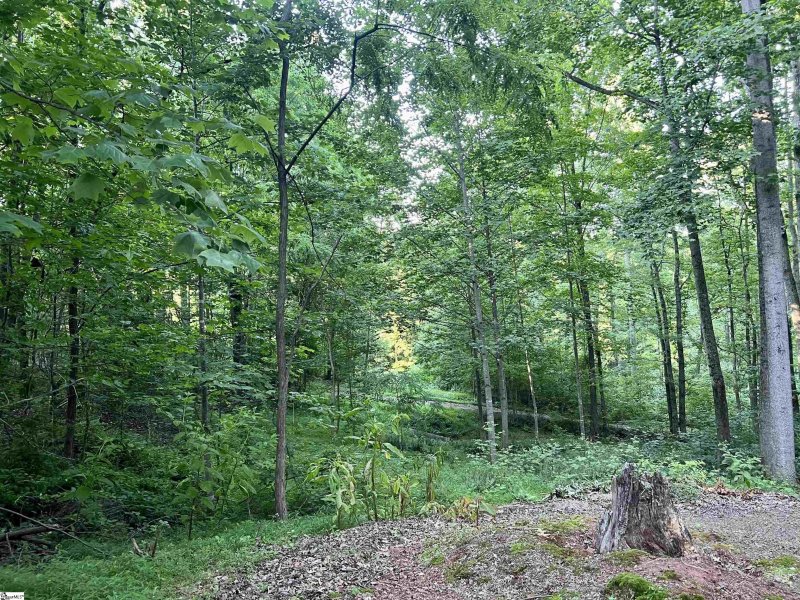 Property image 3 at 20 Savage Court, Travelers Rest, SC 29690