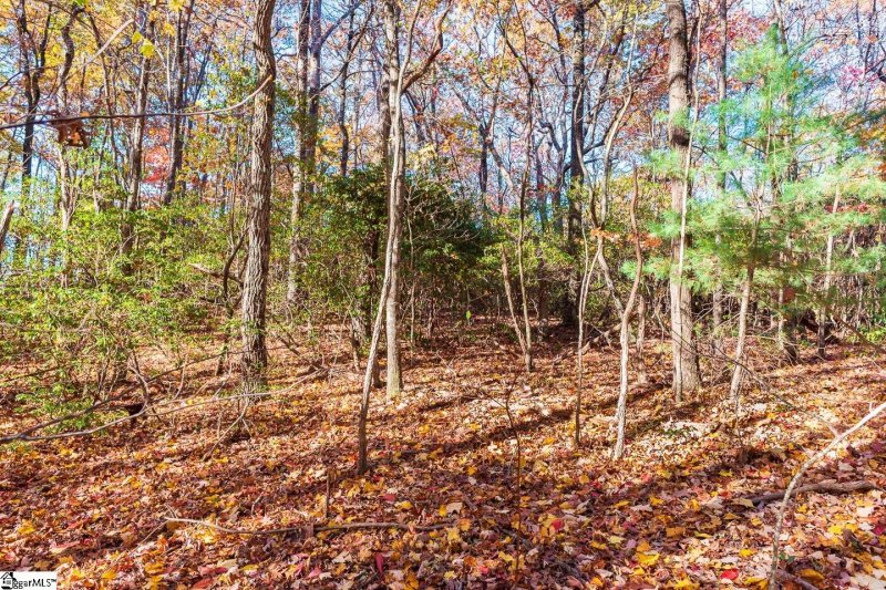 Property image 4 at 328 Cliff Ridge Drive, Cleveland, SC 29635