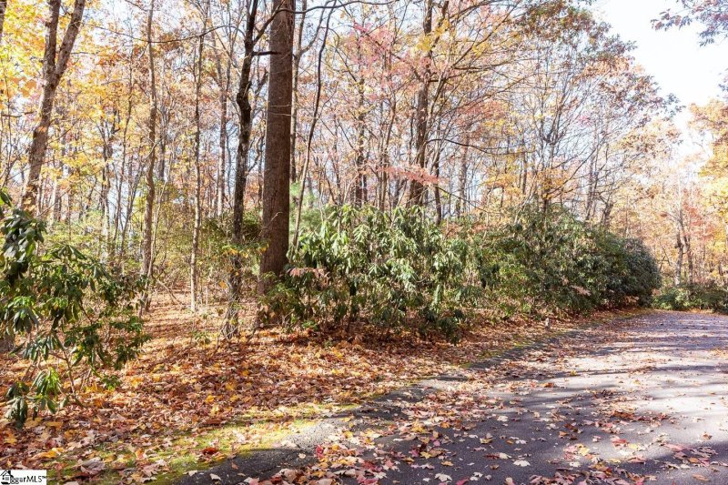 Property image 5 at 328 Cliff Ridge Drive, Cleveland, SC 29635