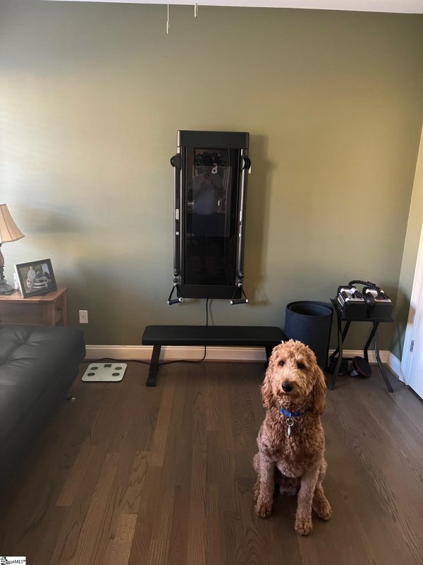 Property image 5 at 120 Stillcountry Circle, Travelers Rest, SC 29690