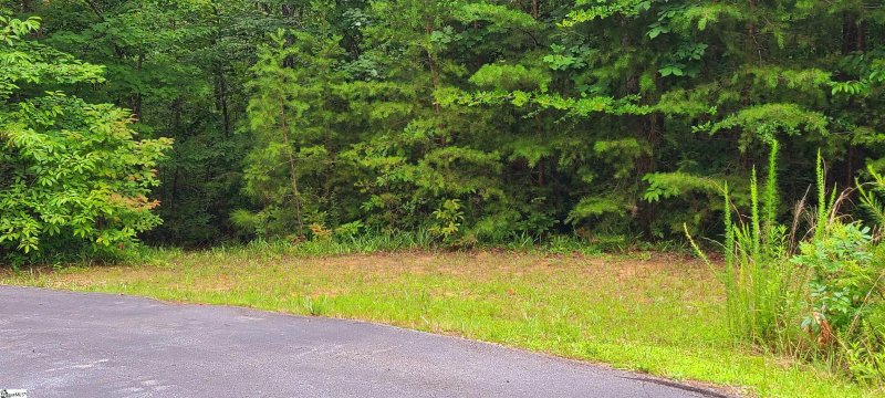 Property image 2 at 118 Art Sheldon Way, Pickens, SC 29671