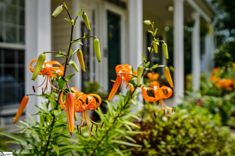 Property image 3 at 706 Britton Street, Anderson, SC 29621