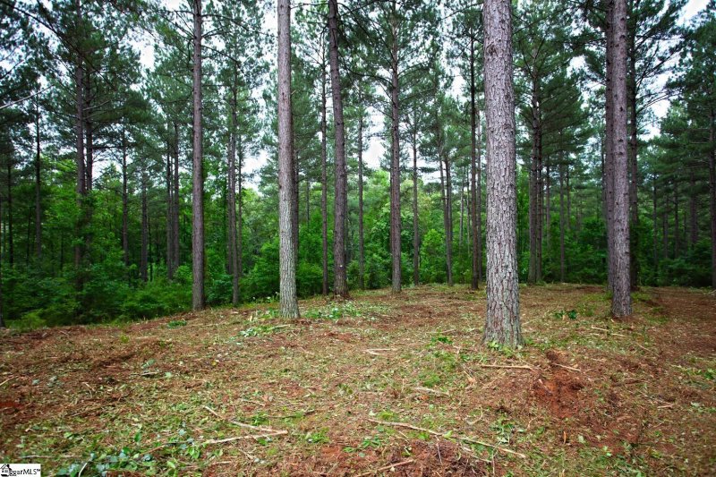 Property image 4 at 64 High Pines Drive, Salem, SC 29676