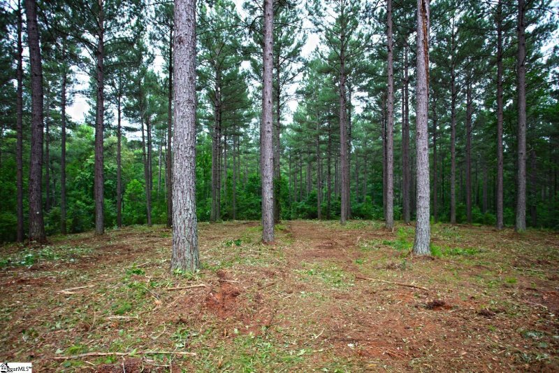 Property image 5 at 64 High Pines Drive, Salem, SC 29676