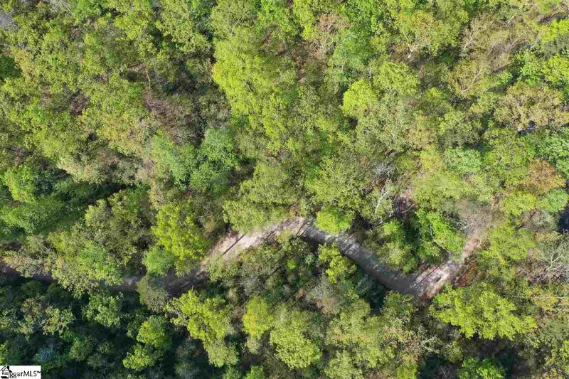 Property image 5 at 110 OLD ALTAMONT RIDGE Road, Greenville, SC 29609