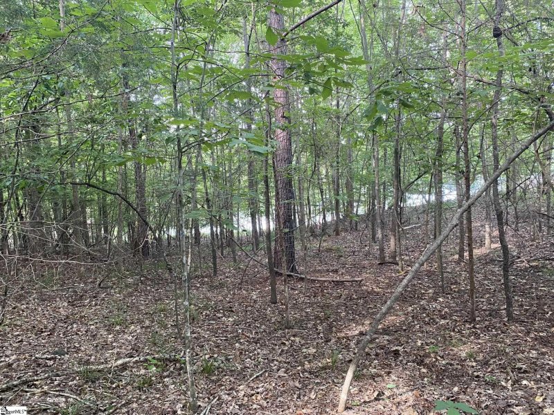 Property image 4 at 105 Bayview Court, Laurens, SC 29360