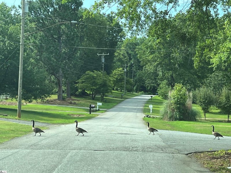 Property image 4 at 219 Arrowhead Circle, Spartanburg, SC 29301