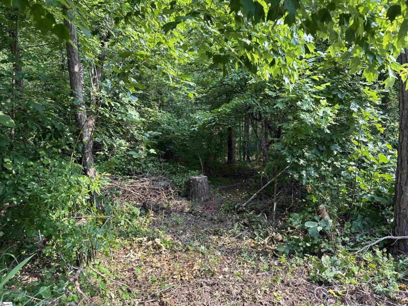 Property image 5 at 000 Yellowood Drive, Seneca, SC 29672