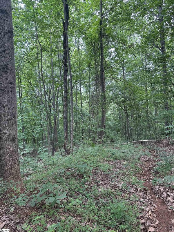 Property image 2 at 15 Majestic View Way Lane, Travelers Rest, SC 29690