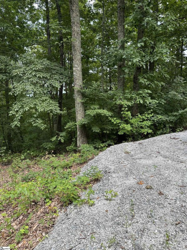 Property image 4 at 15 Majestic View Way Lane, Travelers Rest, SC 29690