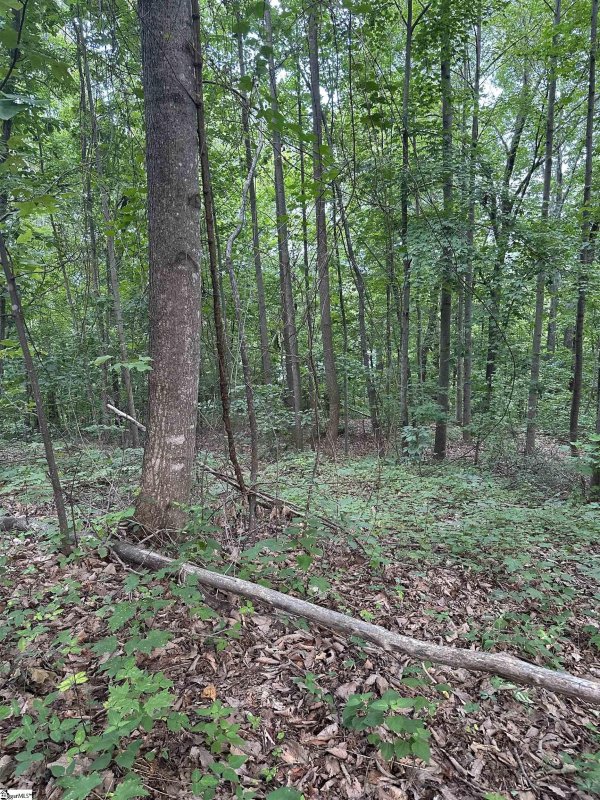 Property image 5 at 15 Majestic View Way Lane, Travelers Rest, SC 29690