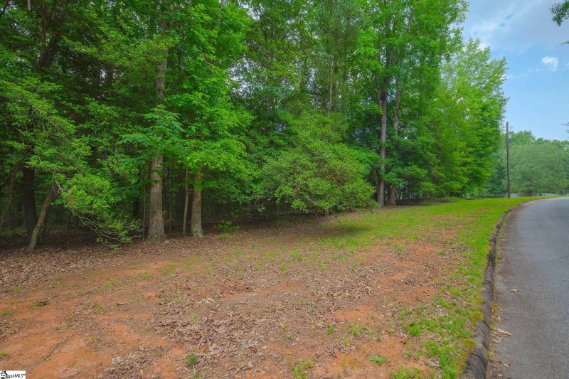 Property image 3 at 118 Mill Creek Road, Piedmont, SC 29673