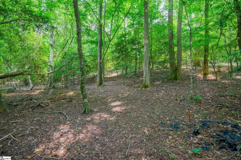 Property image 5 at 118 Mill Creek Road, Piedmont, SC 29673