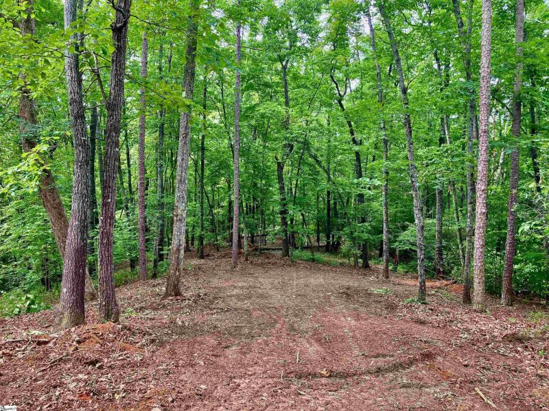 Property image 2 of 25 Cherokee Rose Trail in The Cliffs at Mountain Park, Marietta, SC 29661