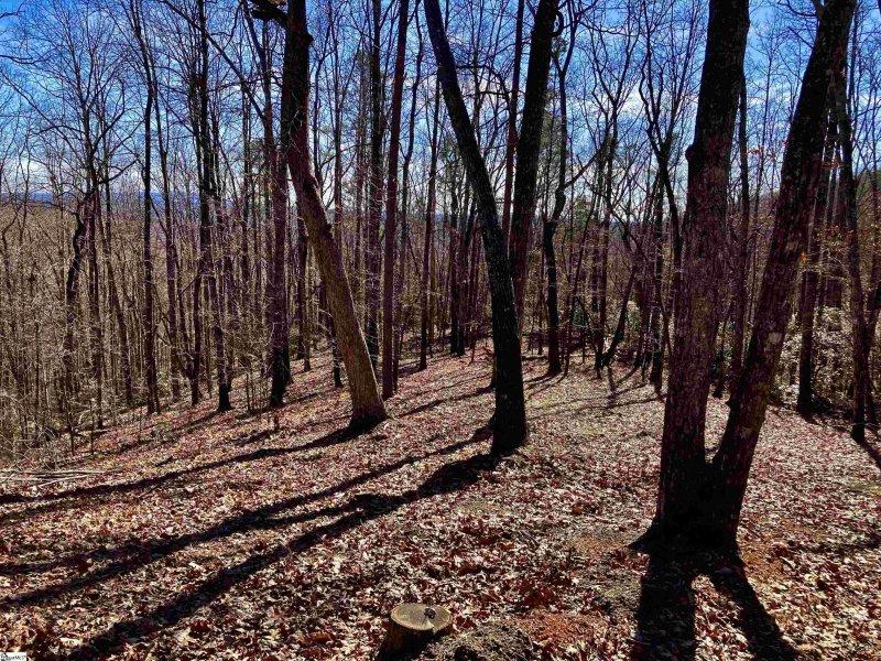 Property image 3 of 25 Cherokee Rose Trail in The Cliffs at Mountain Park, Marietta, SC 29661