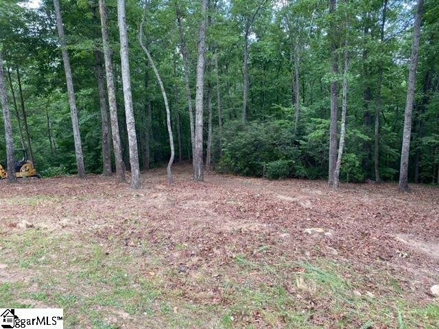 Property image 5 of 25 Cherokee Rose Trail in The Cliffs at Mountain Park, Marietta, SC 29661