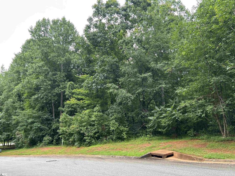 Property image 4 at 5 Falling Leaf Drive, Travelers Rest, SC 29690