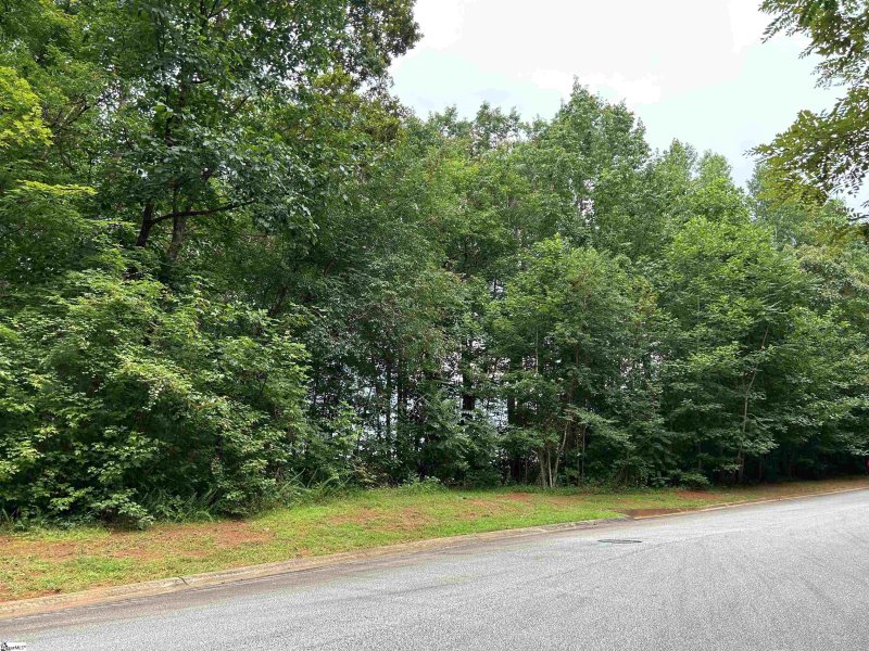 Property image 5 at 5 Falling Leaf Drive, Travelers Rest, SC 29690