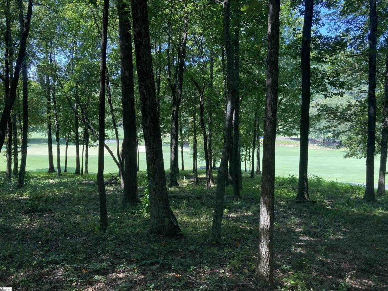 Property image 2 of 113 Foxboro Road in Cliffs Valley, Travelers Rest, SC 29690