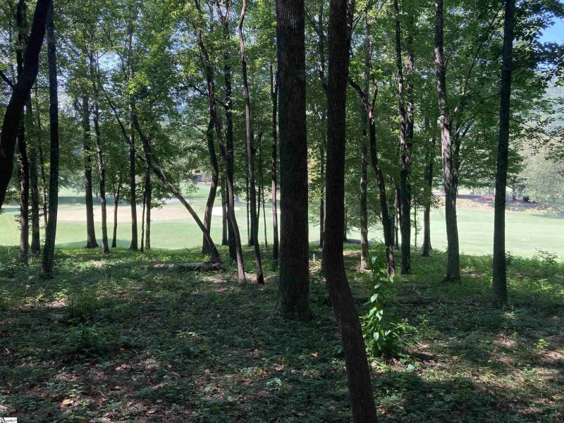 Property image 4 of 113 Foxboro Road in Cliffs Valley, Travelers Rest, SC 29690