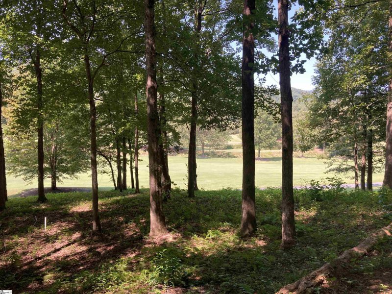 Property image 5 of 113 Foxboro Road in Cliffs Valley, Travelers Rest, SC 29690