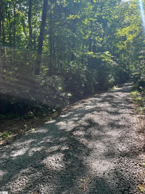 Property image 2 at 00 Upper Oil Camp Road, Cleveland, SC 29635