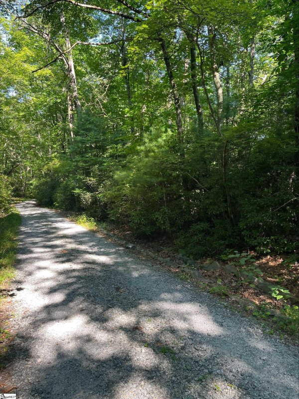 Property image 3 at 00 Upper Oil Camp Road, Cleveland, SC 29635