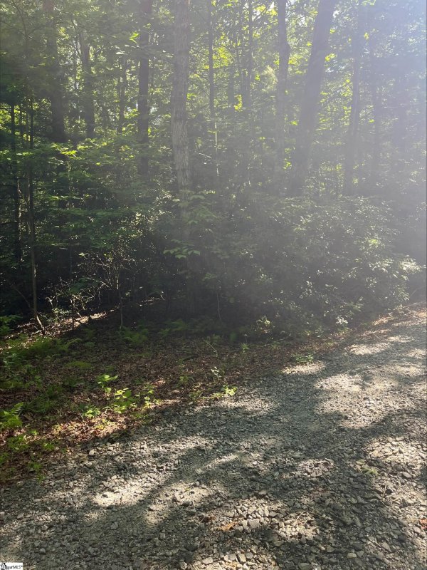 Property image 4 at 00 Upper Oil Camp Road, Cleveland, SC 29635