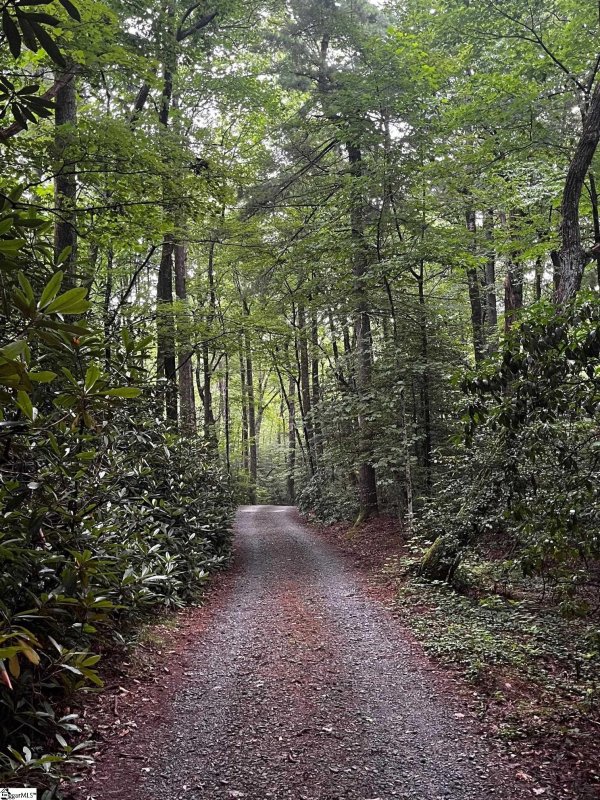 Property image 5 at 00 Upper Oil Camp Road, Cleveland, SC 29635