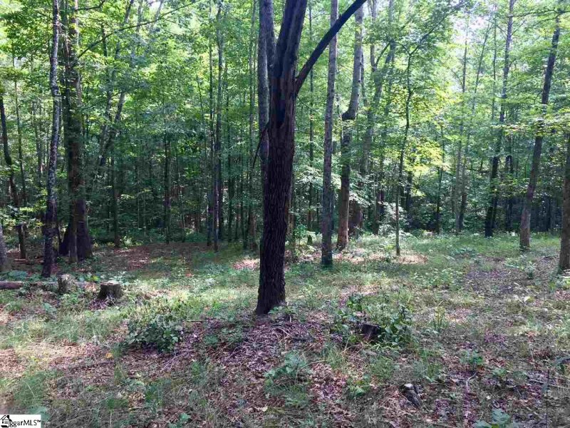 Property image 2 at 200 Darting Sparrow Way, Marietta, SC 29661