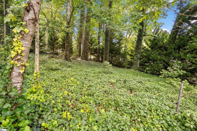 Property image 3 at 00 Beverly Lane, Greenville, SC 29609