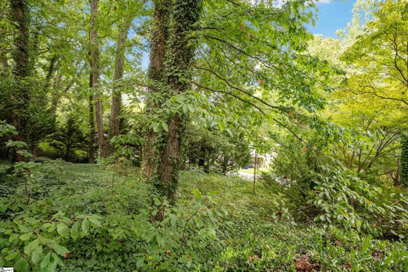 Property image 4 at 00 Beverly Lane, Greenville, SC 29609
