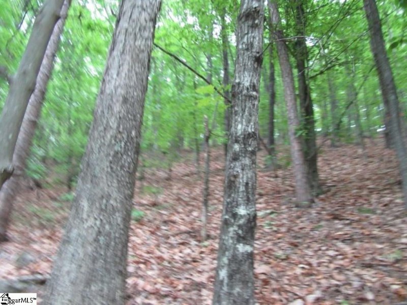 Property image 2 at Tracts 34,35,36 Curts Way, Cleveland, SC 29635