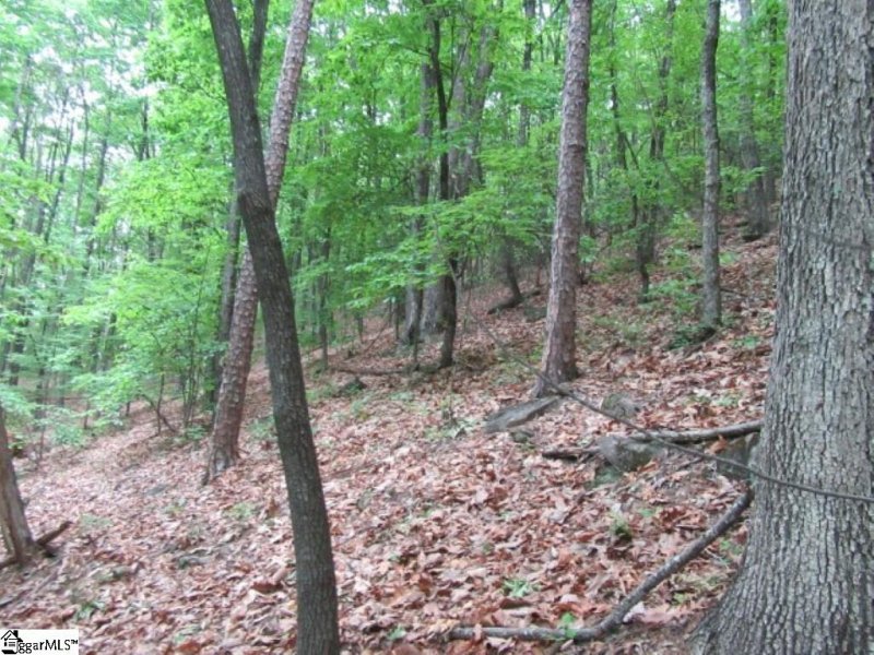 Property image 3 at Tracts 34,35,36 Curts Way, Cleveland, SC 29635