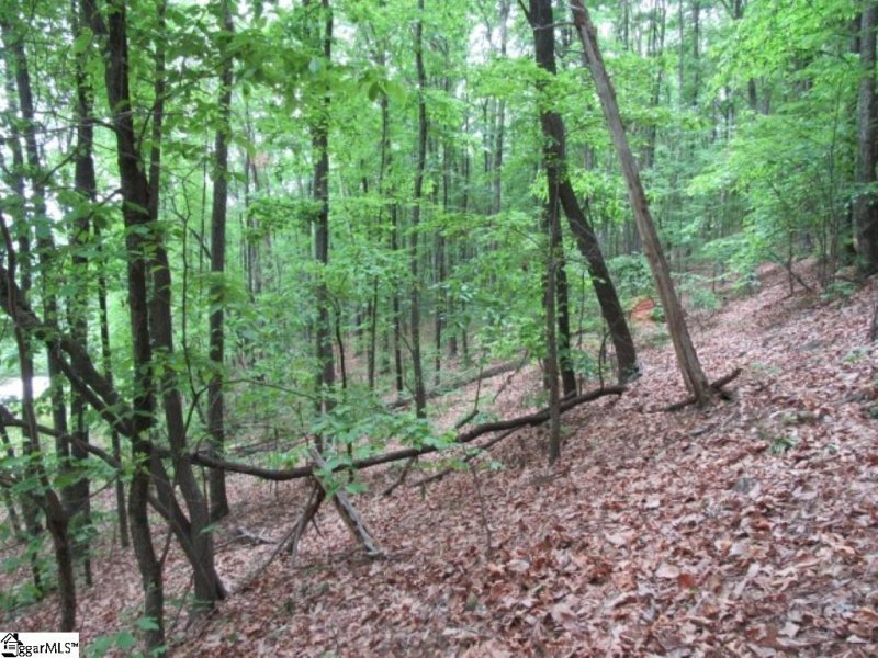 Property image 5 at Tracts 34,35,36 Curts Way, Cleveland, SC 29635