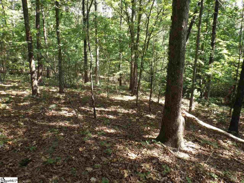 Property image 3 at 104 Bridle Drive, Cleveland, SC 29635