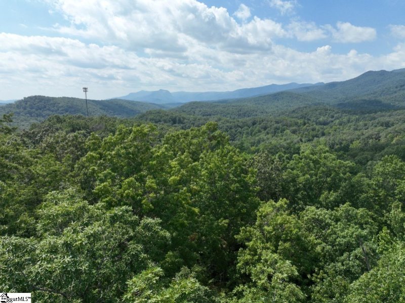 Property image 5 at 00 Emerald Crest Lane, Cleveland, SC 29635