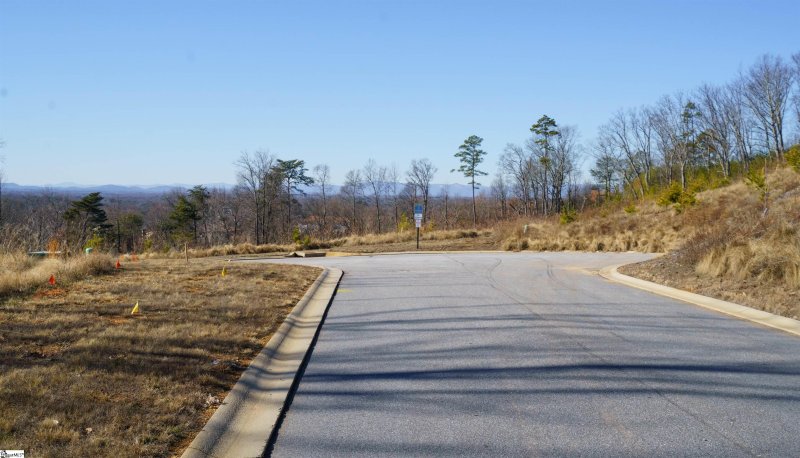 Property image 5 at 133 Rovello Court, Greenville, SC 29609