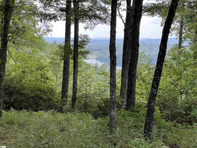 Property image 2 at 206 Eastatoe Parkway, Sunset, SC 29685