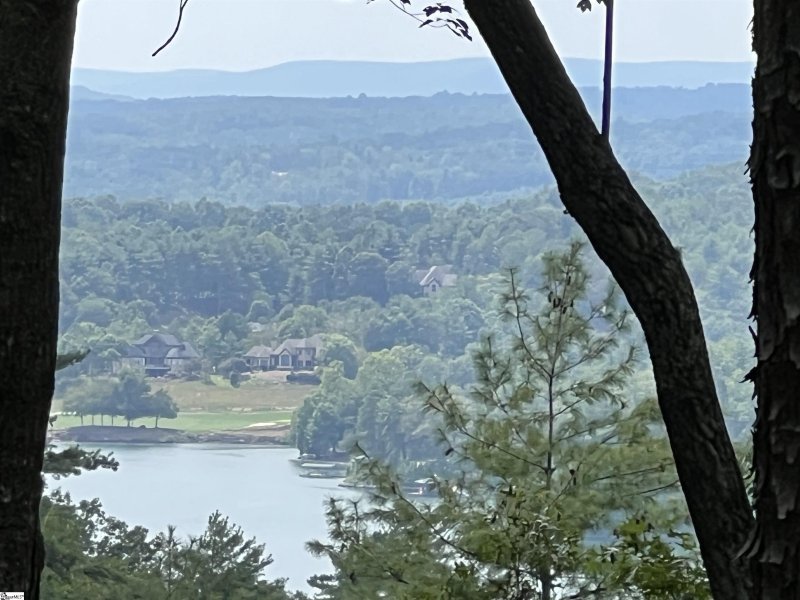 Property image 3 at 206 Eastatoe Parkway, Sunset, SC 29685