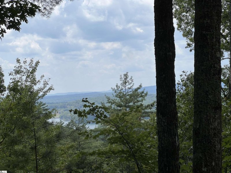 Property image 4 at 206 Eastatoe Parkway, Sunset, SC 29685