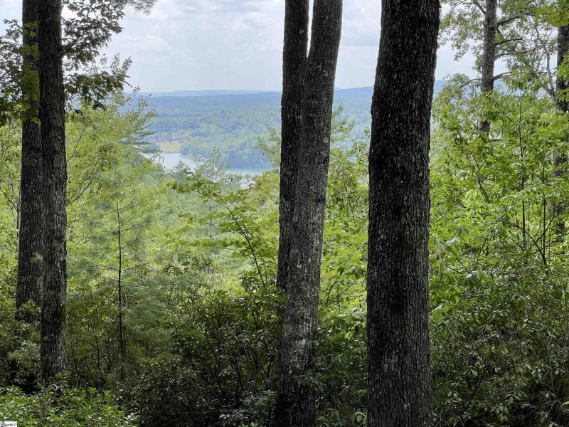 Property image 5 at 206 Eastatoe Parkway, Sunset, SC 29685