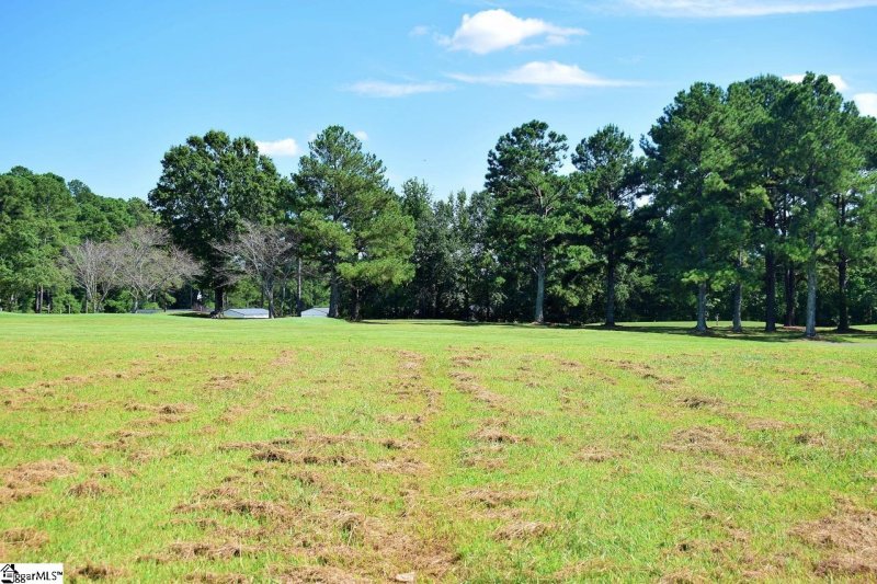 Property image 5 at 139 Gleneagles Road, Campobello, SC 29322